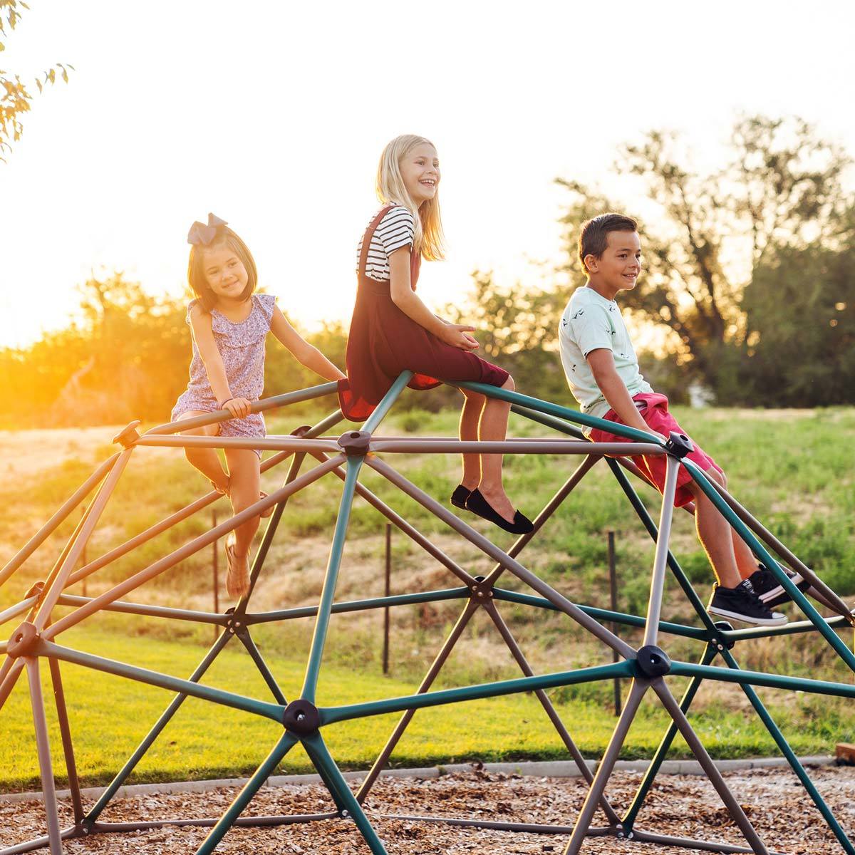 Lifetime Earthtone Dome Climber with Canopy (3-10 Years) - Tiedex - Image 3