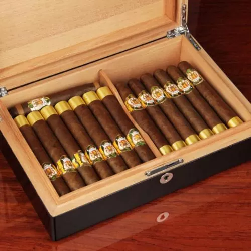 TieDex UK Cigarism Piano Finish Cedar Lined Humidor - Black - 30 Cigar Capacity - End of Line - Image 3